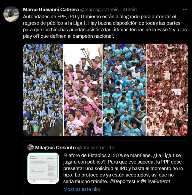 Falta el visto bueno por parte del Gobierno para el retorno a los estadios