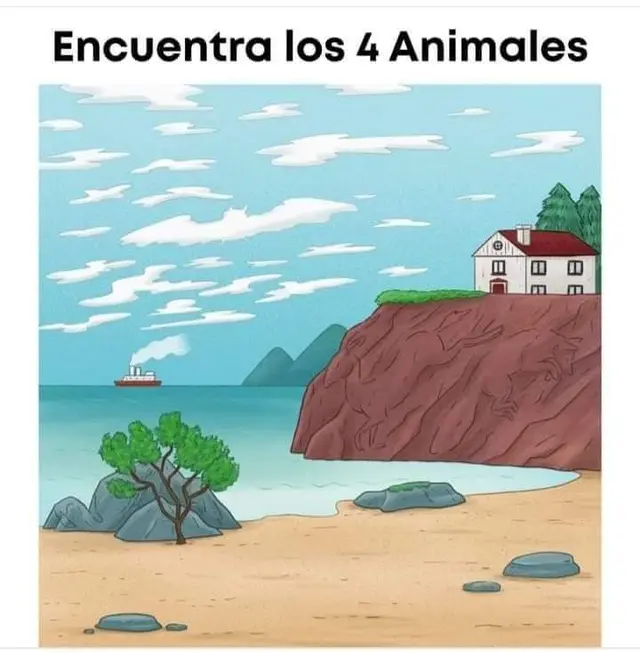 reto visual