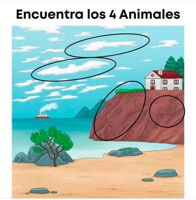 reto visual