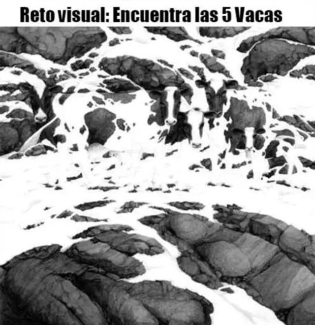 reto visual reto visual