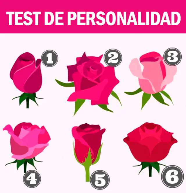  test de personalidad
