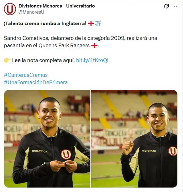 Universitario