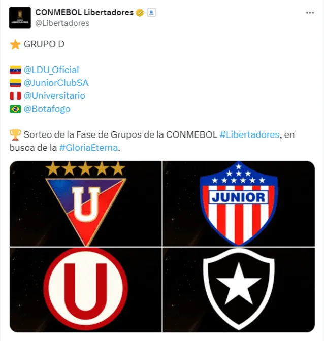 Grupo D Copa Libertadores 2024
