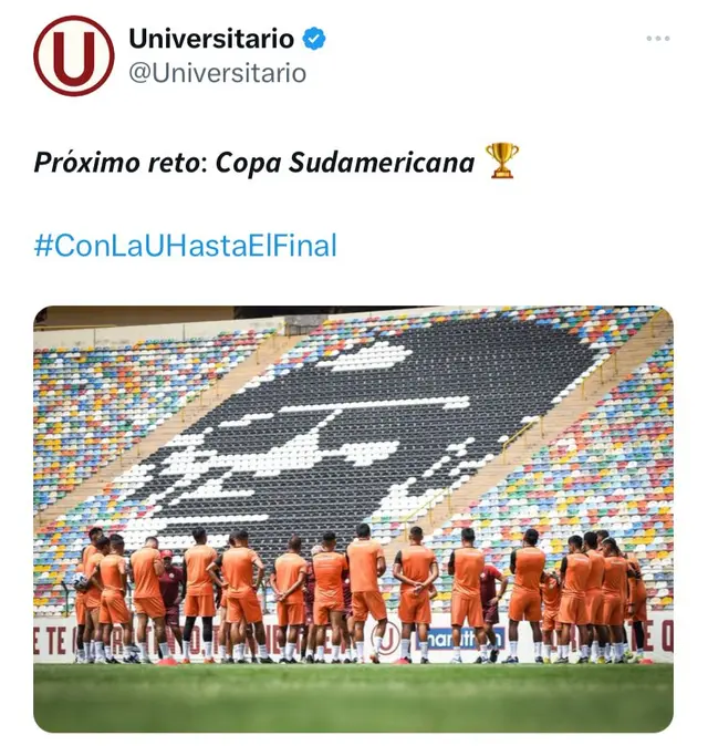 universitario