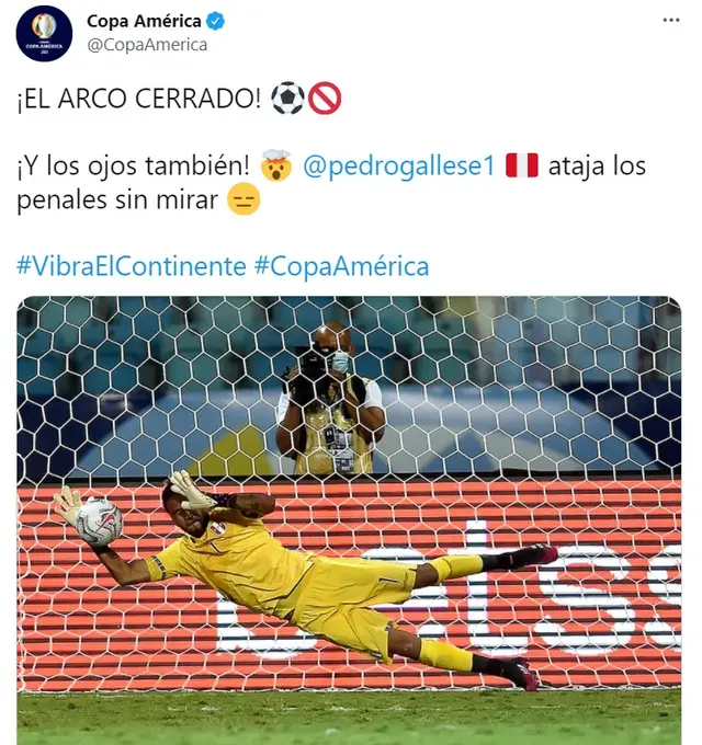 Pedro Gallese