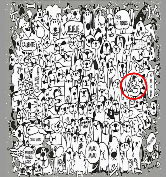 Reto visual
