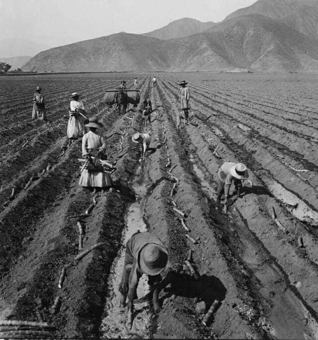 Distrito de Ate vitarte en 1904. Fuente: Facebook ¿Sabía esto de Lima?