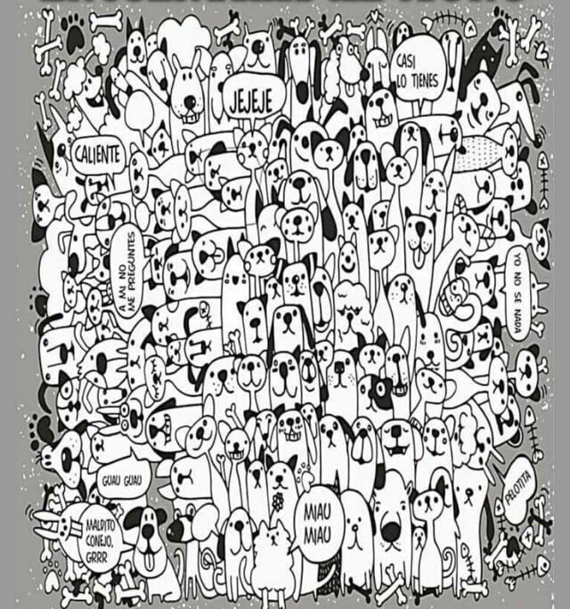 Reto visual
