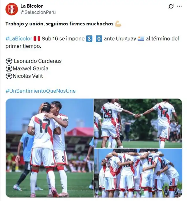 Selección peruana