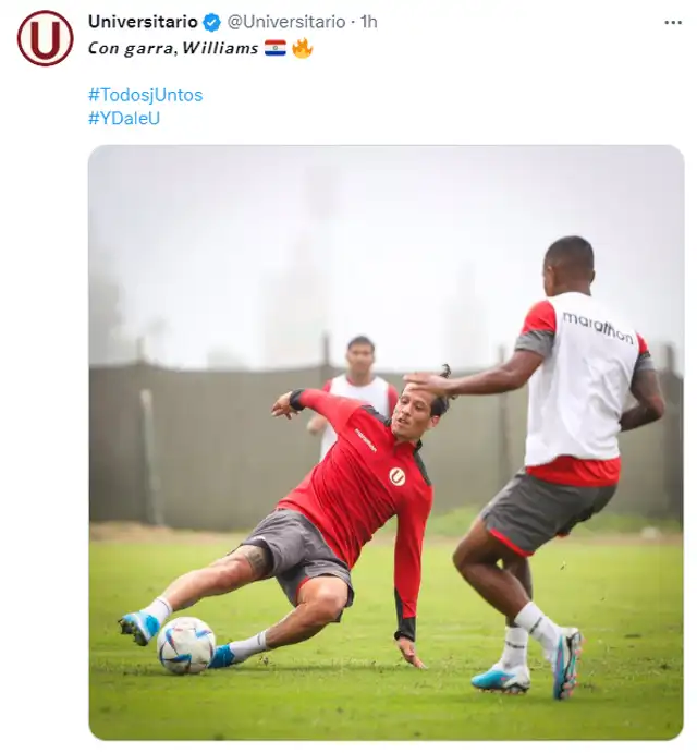 Universitario