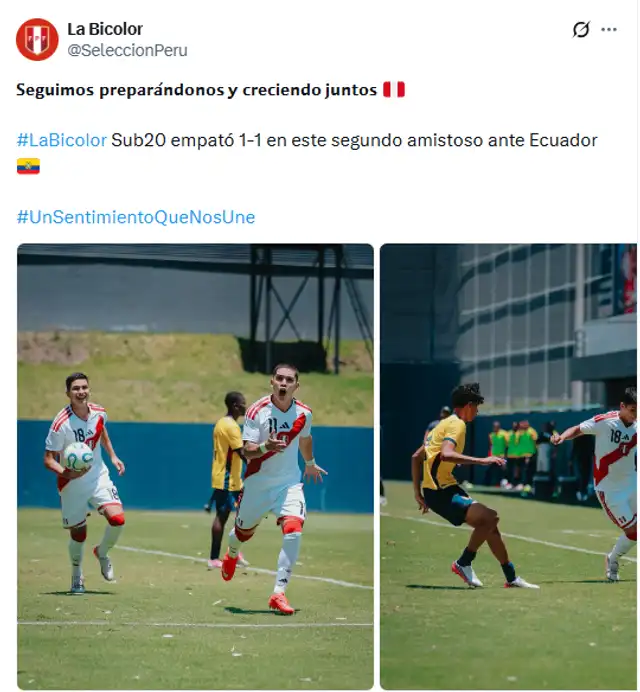 Perú empató 1-1 contra Ecuador