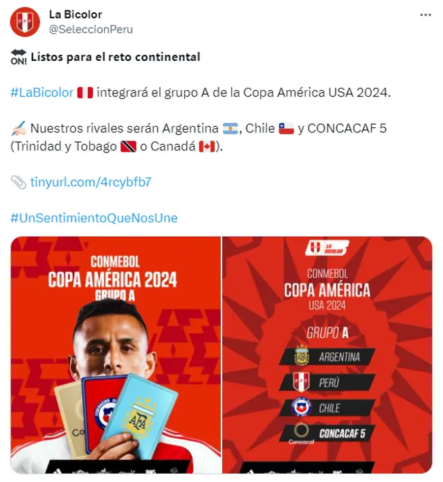 Selección Peruana, Copa América