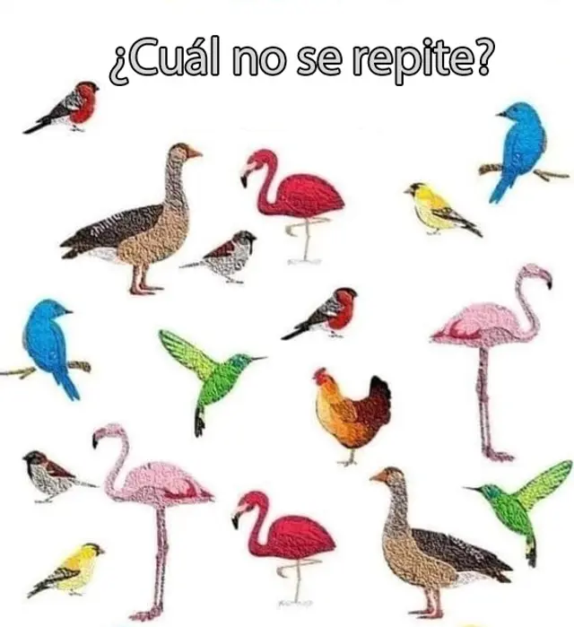 libero.pe