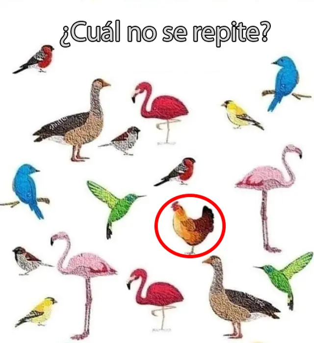 libero.pe