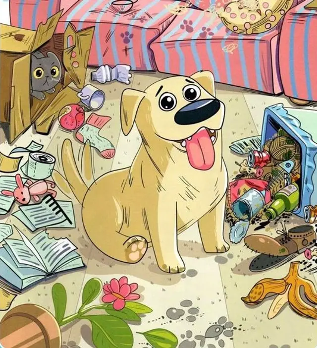 reto visual reto visual