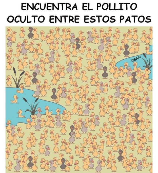 reto visual
