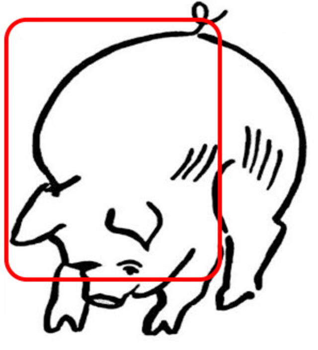 reto visual