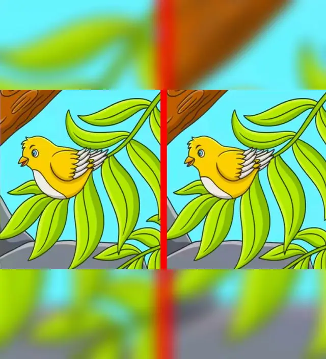 reto visual