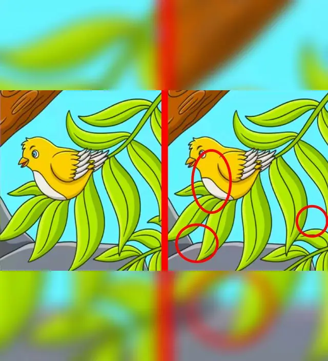 reto visual