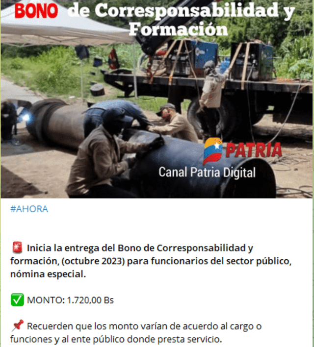 Bono de Corresponsabilidad y Formación