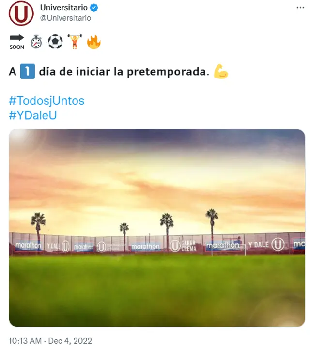 Universitario