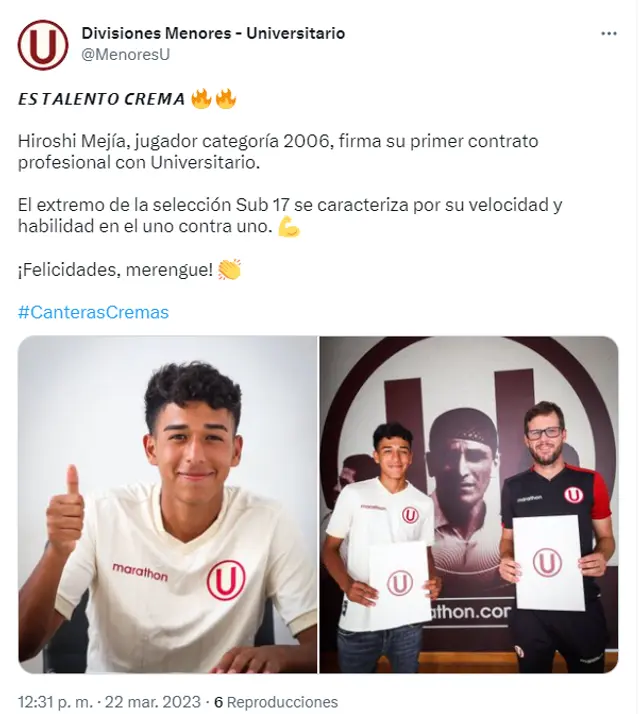 Universitario