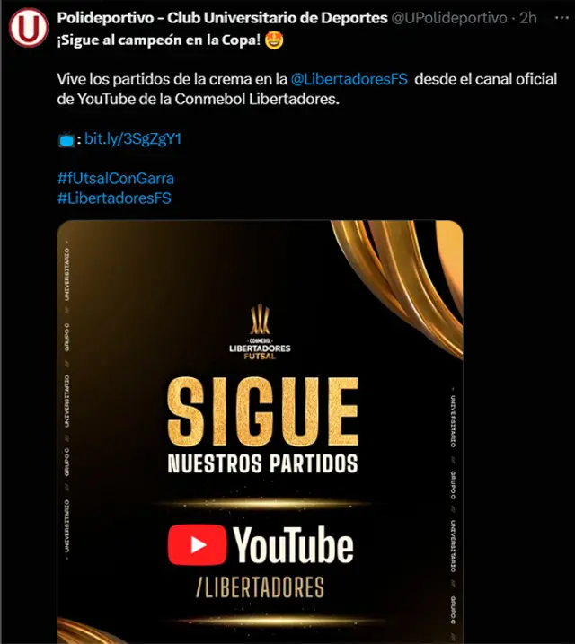 Universitario, Copa Libertadores
