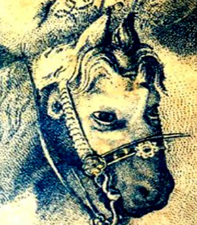 Solución del reto visual