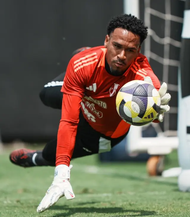 Pedro Gallese, Selección Peruana