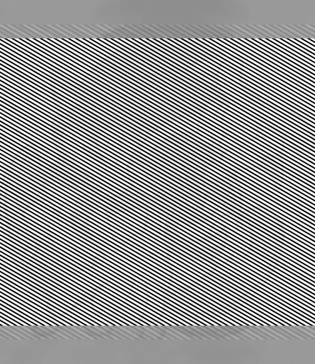 ilusion optica