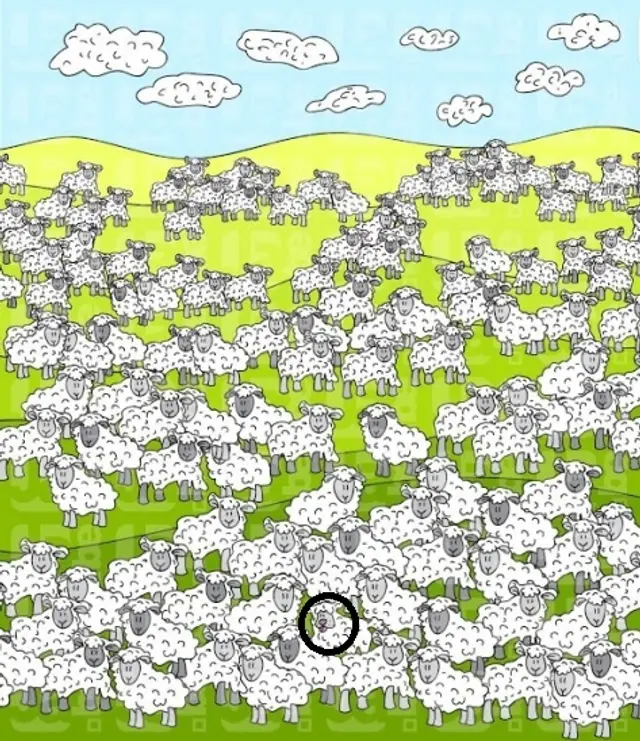 No te rindas. Para la próxima podrás resolverlo. No te rindas. Para la próxima podrás resolverlo.