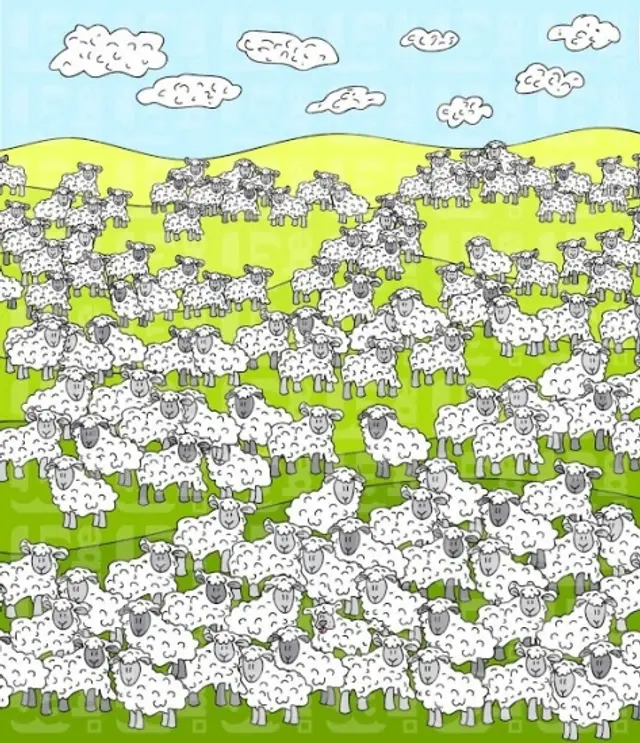 Retos visuales Retos visuales