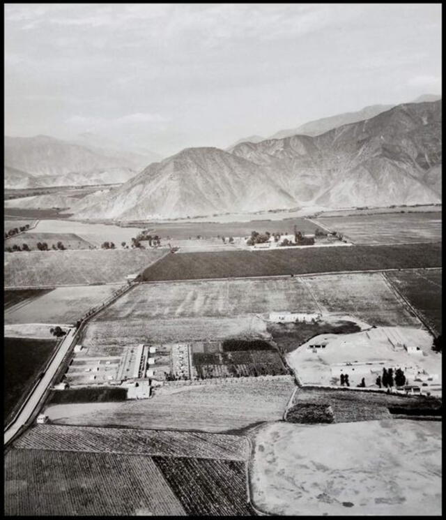 viral la molina viral la molina