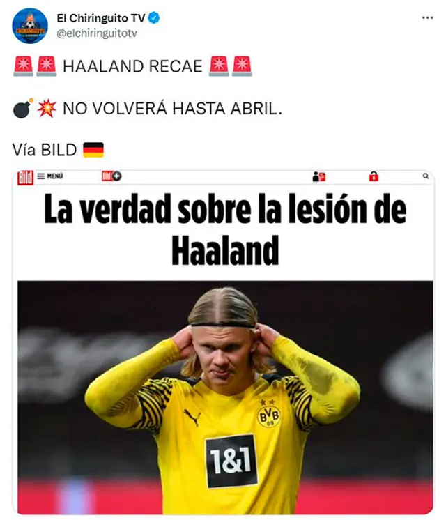 Erling Haaland