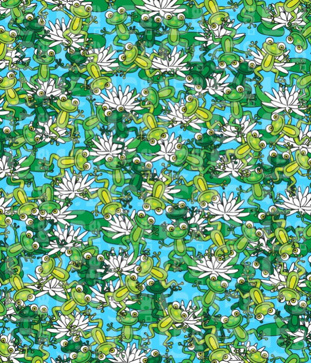 Ubica al infiltrado.   