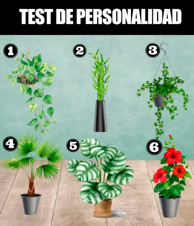 test de personalidad
