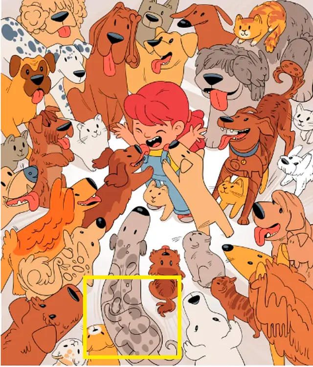 Reto visual Reto visual