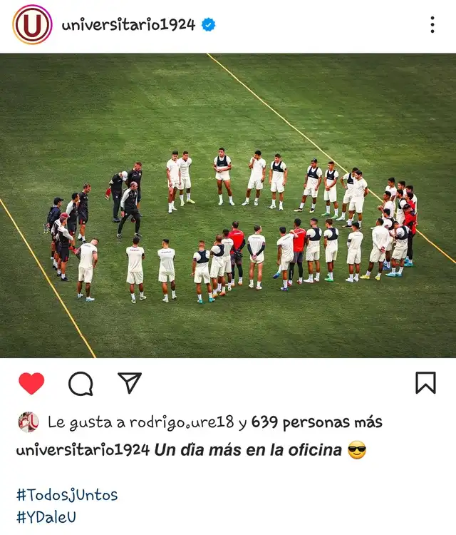Universitario