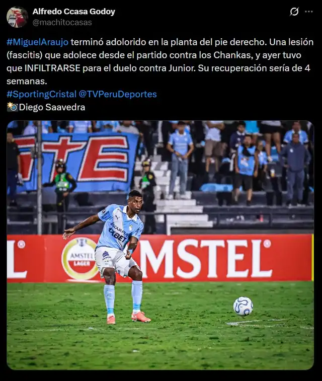 Información sobre Miguel Araujo.