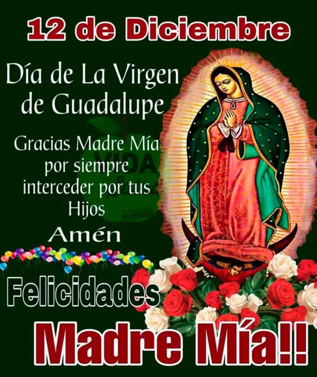 Virgen de Guadalupe Virgen de Guadalupe