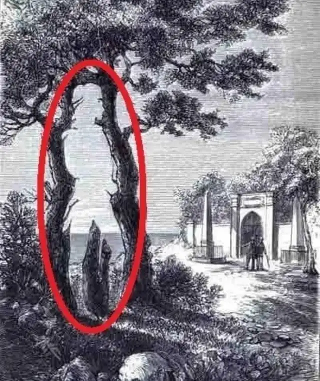 ¡Allí estaba!   