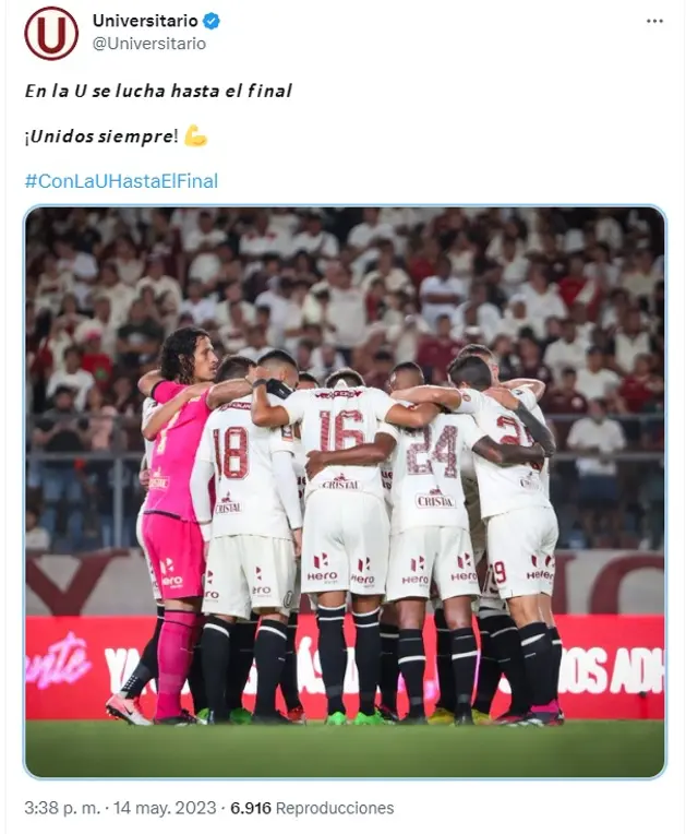 <strong>Universitario</strong>   