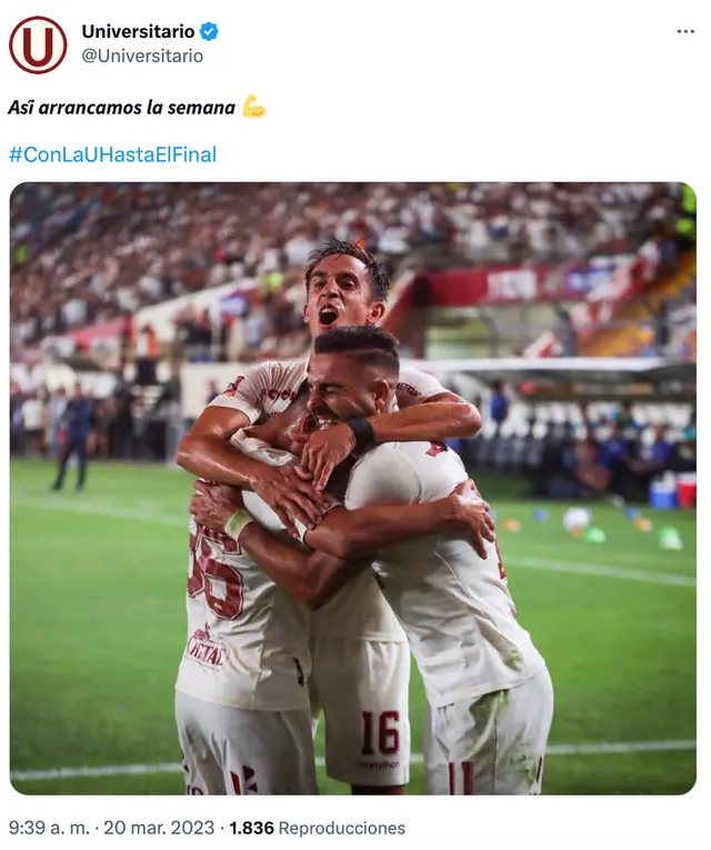 Universitario