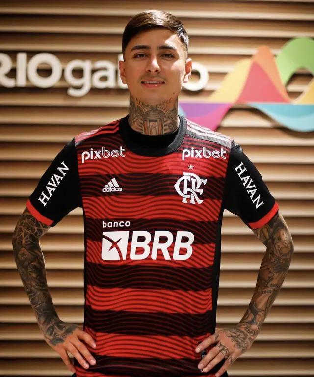 Erick Pulgar Erick Pulgar