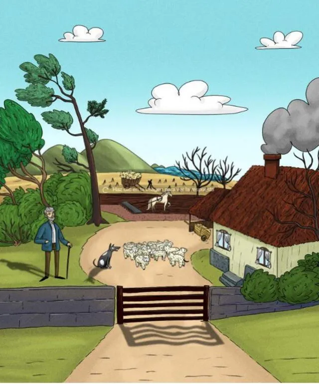 reto visual reto visual