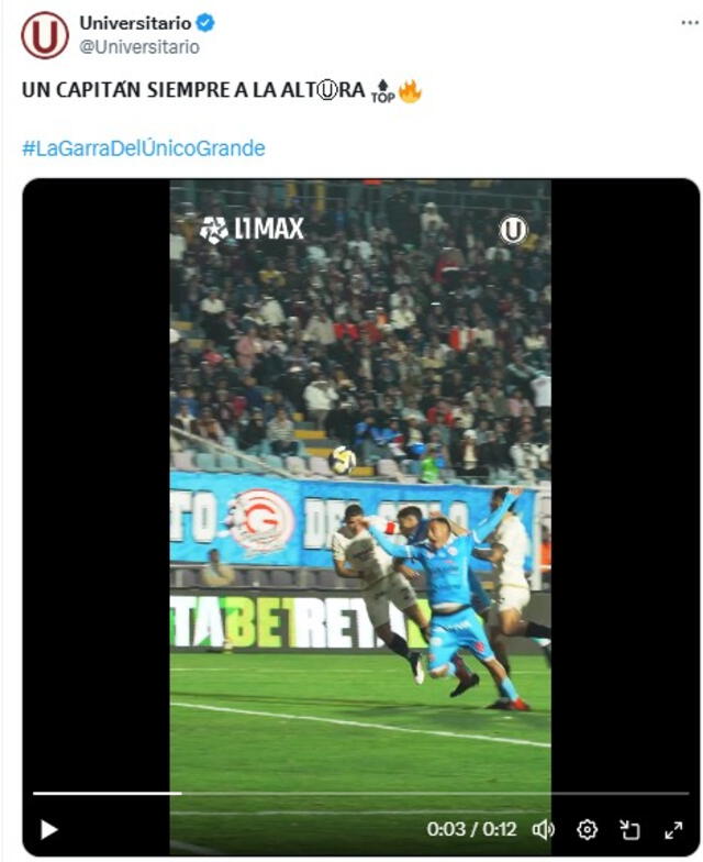 Universitario