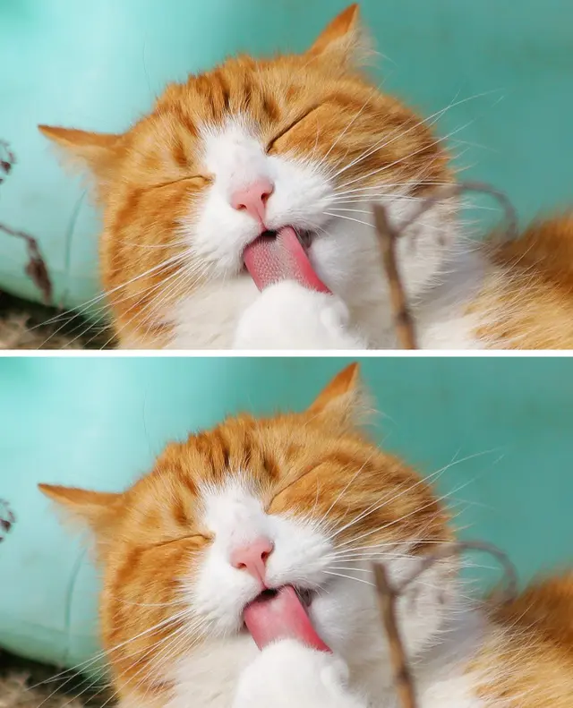 RETO VISUAL ACERTIJO VISUAL