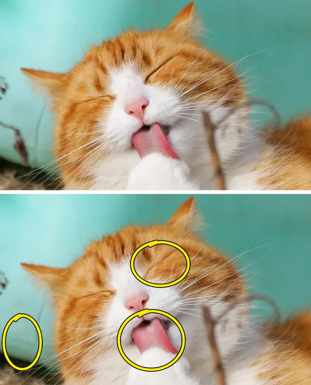 RETO VISUAL ACERTIJO VISUAL