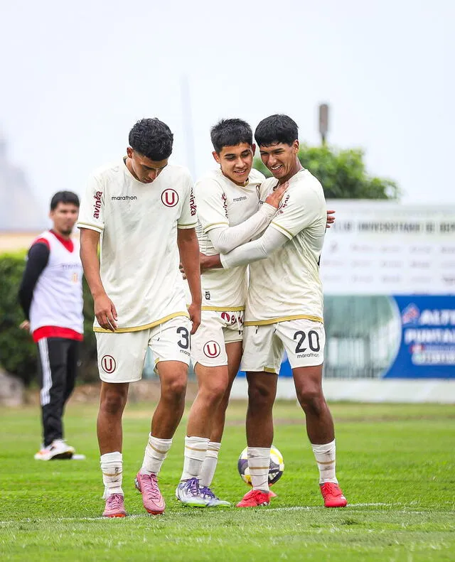 universitario universitario