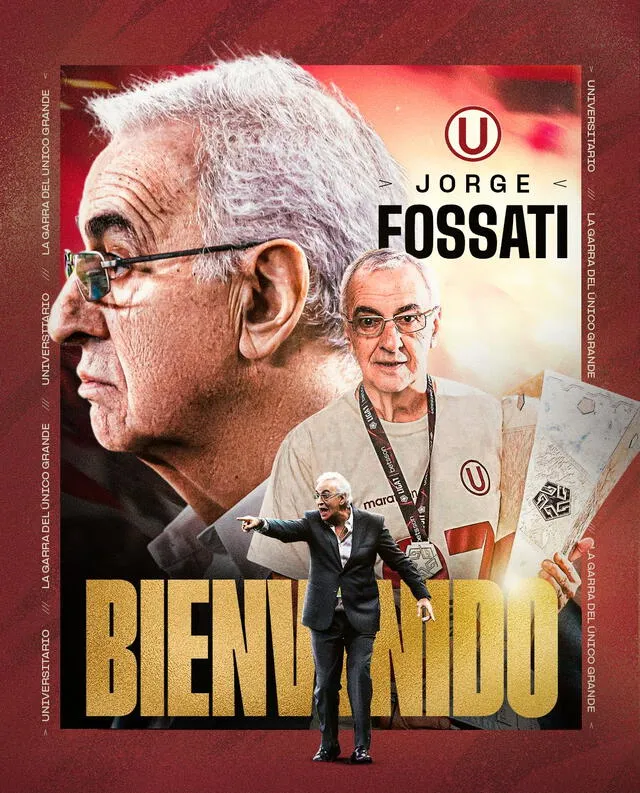 fossati universitario